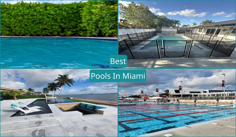 Best Pools In Miami