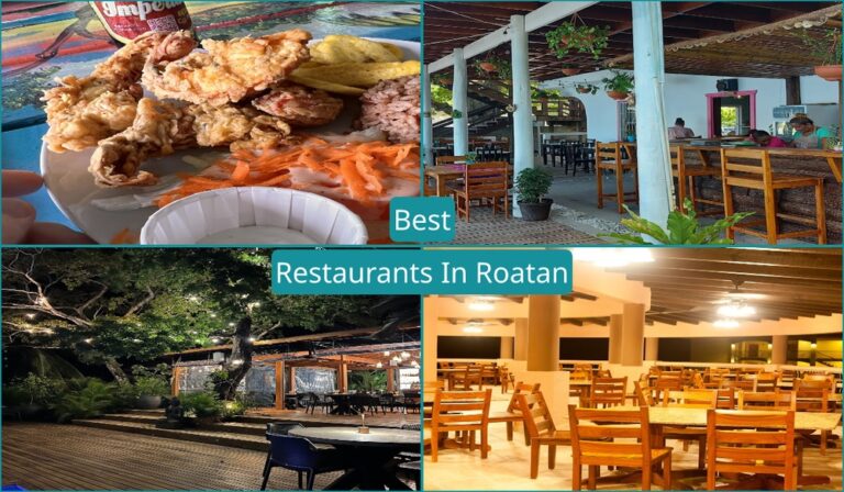 Best Restaurants In Roatan